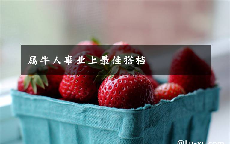 属牛人事业上最佳搭档