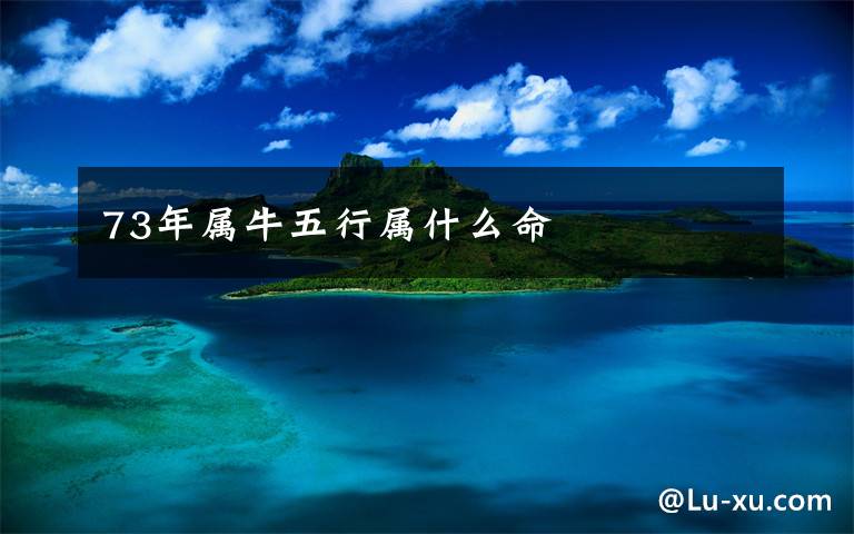 73年属牛五行属什么命