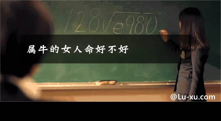 属牛的女人命好不好