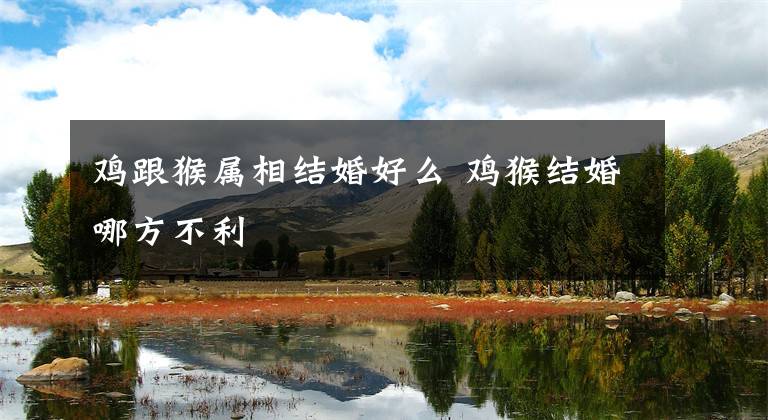 鸡跟猴属相结婚好么 鸡猴结婚哪方不利