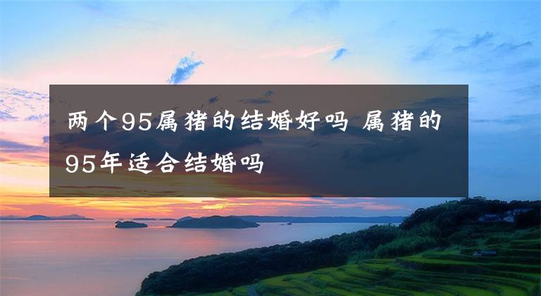 两个95属猪的结婚好吗 属猪的95年适合结婚吗