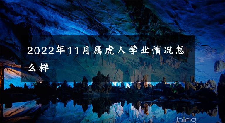 2022年11月属虎人学业情况怎么样