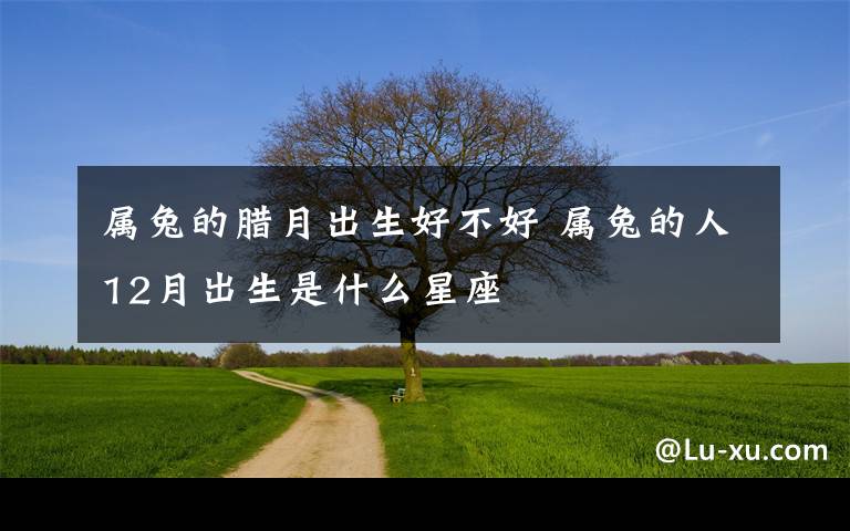 属兔的腊月出生好不好 属兔的人12月出生是什么星座