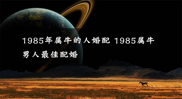 1985年属牛的人婚配 1985属牛男人最佳配婚