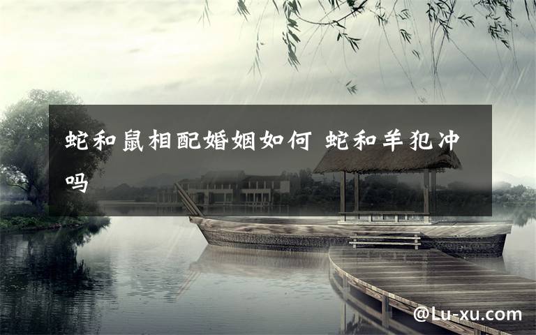 蛇和鼠相配婚姻如何 蛇和羊犯冲吗