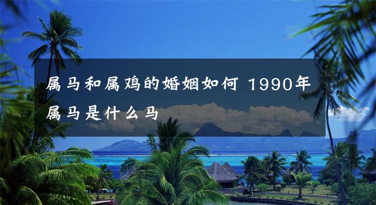 属马和属鸡的婚姻如何 1990年属马是什么马