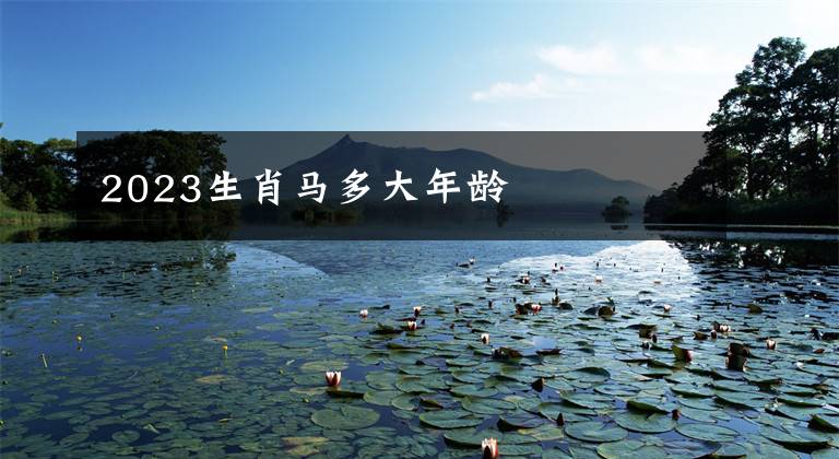 2023生肖马多大年龄