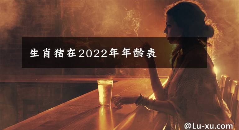 生肖猪在2022年年龄表