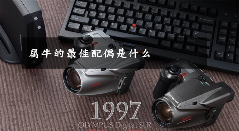 属牛的最佳配偶是什么