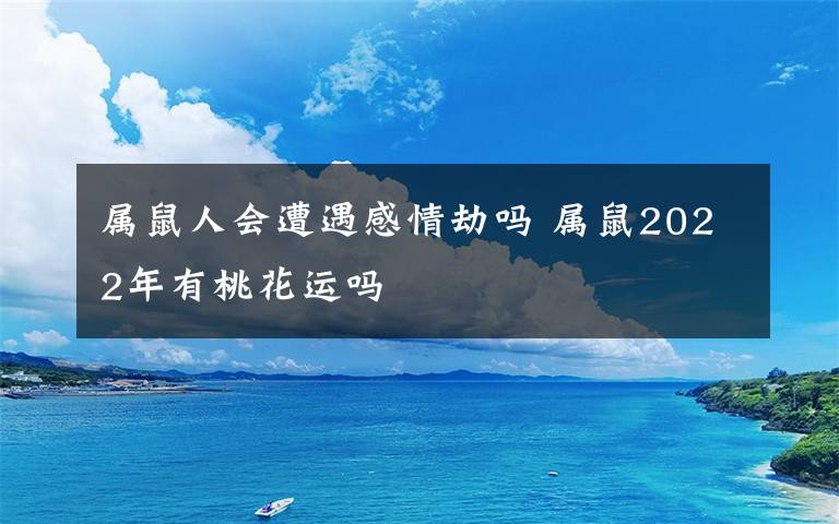 属鼠人会遭遇感情劫吗 属鼠2022年有桃花运吗