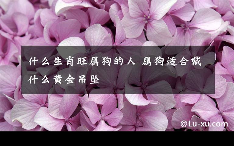 什么生肖旺属狗的人 属狗适合戴什么黄金吊坠