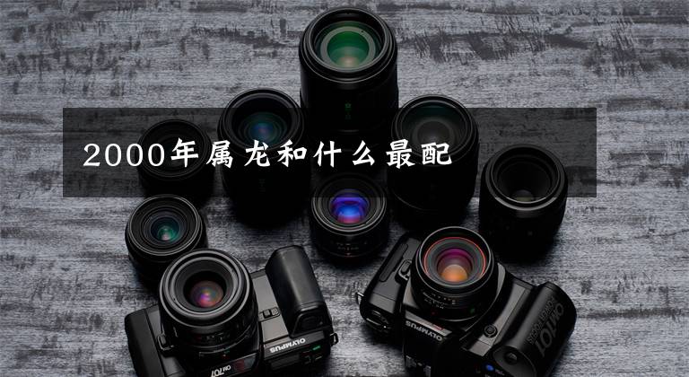2000年属龙和什么最配