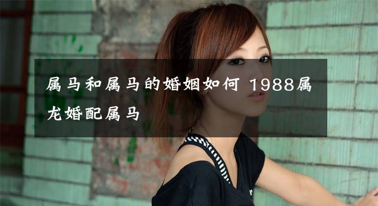 属马和属马的婚姻如何 1988属龙婚配属马