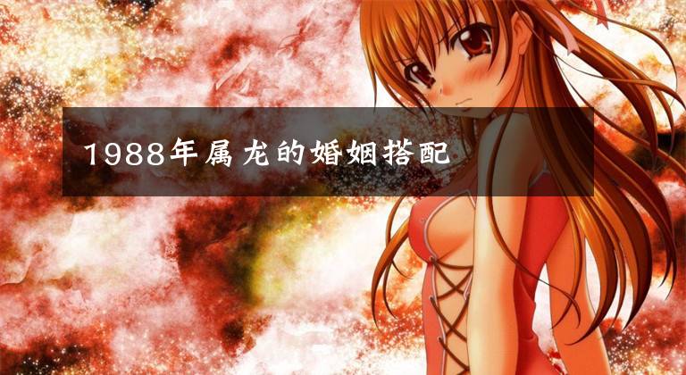 1988年属龙的婚姻搭配