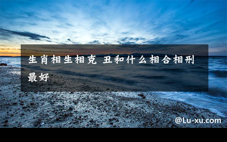 生肖相生相克 丑和什么相合相刑最好