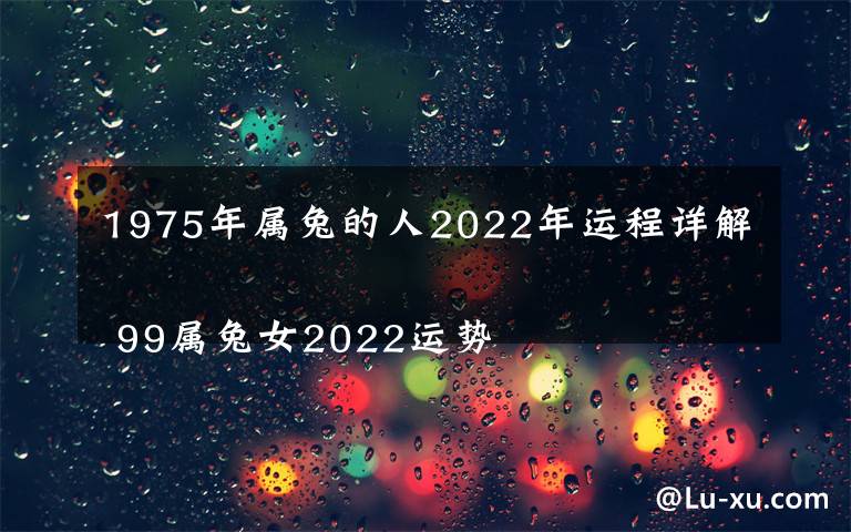 1975年属兔的人2022年运程详解
 99属兔女2022运势