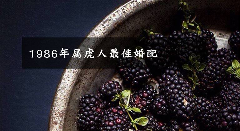 1986年属虎人最佳婚配