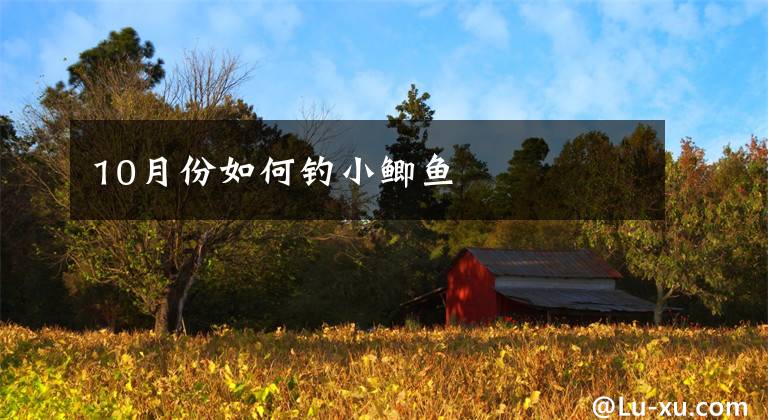 10月份如何钓小鲫鱼