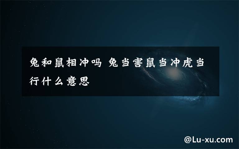 兔和鼠相冲吗 兔当害鼠当冲虎当行什么意思