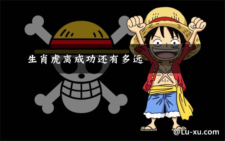 生肖虎离成功还有多远