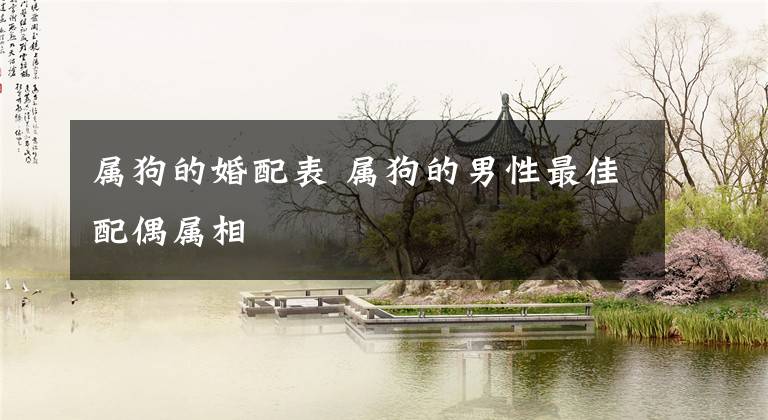 属狗的婚配表 属狗的男性最佳配偶属相