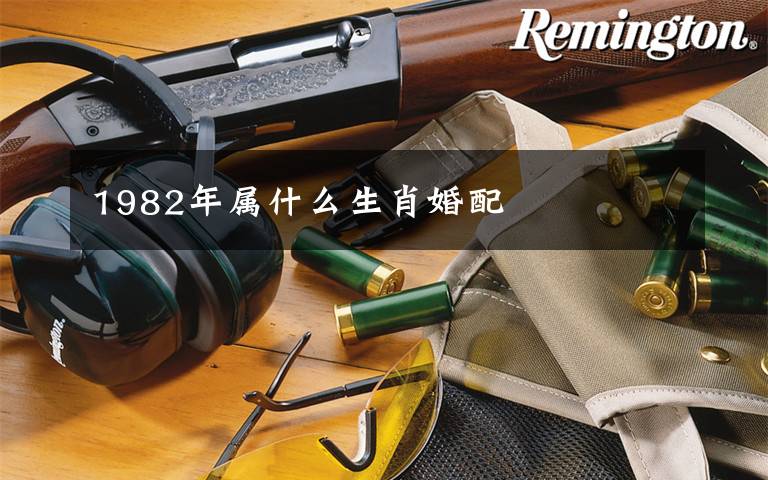 1982年属什么生肖婚配