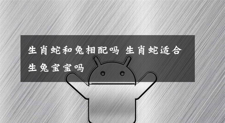 生肖蛇和兔相配吗 生肖蛇适合生兔宝宝吗