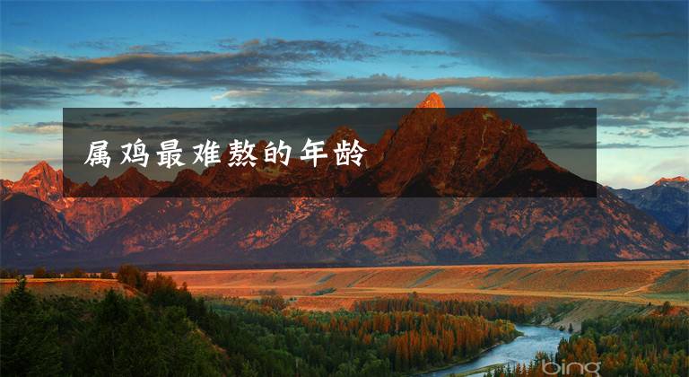 属鸡最难熬的年龄