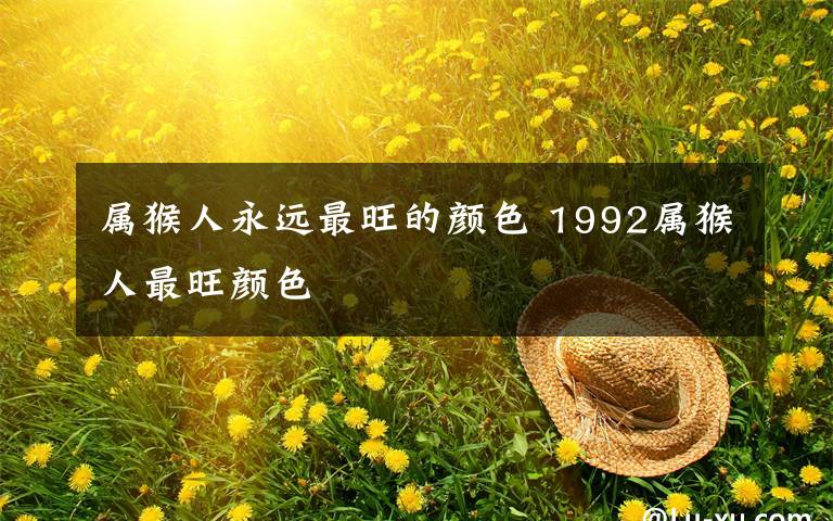 属猴人永远最旺的颜色 1992属猴人最旺颜色