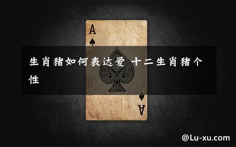 生肖猪如何表达爱 十二生肖猪个性