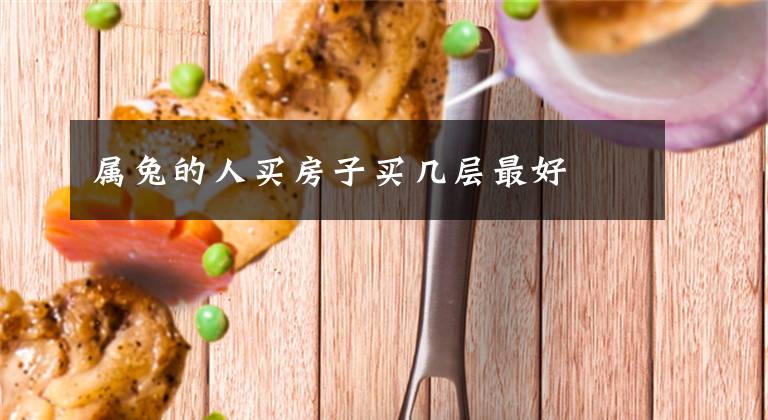 属兔的人买房子买几层最好
