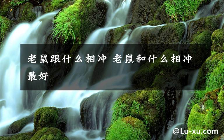 老鼠跟什么相冲 老鼠和什么相冲最好