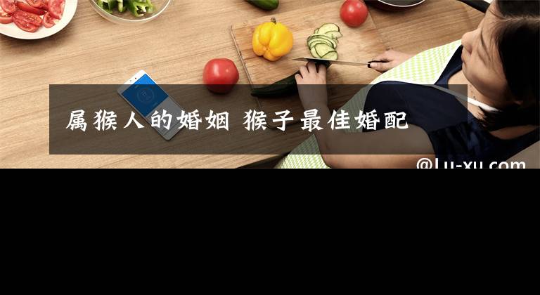 属猴人的婚姻 猴子最佳婚配