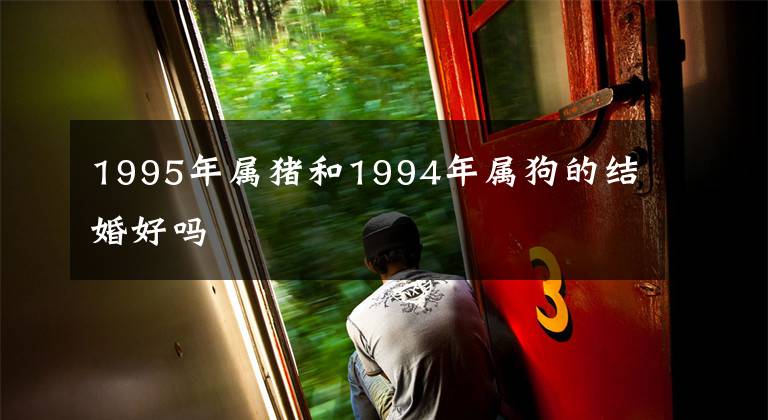 1995年属猪和1994年属狗的结婚好吗