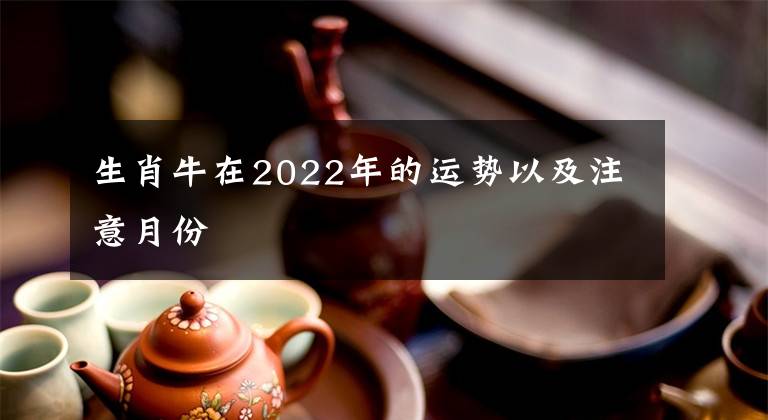 生肖牛在2022年的运势以及注意月份