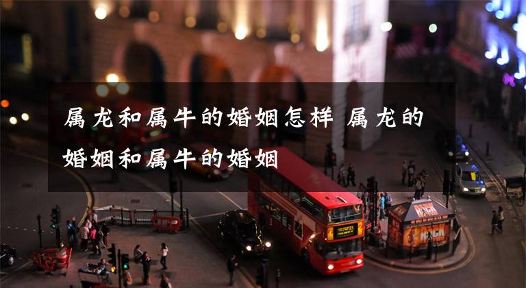属龙和属牛的婚姻怎样 属龙的婚姻和属牛的婚姻