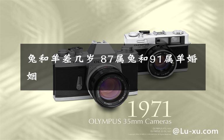 兔和羊差几岁 87属兔和91属羊婚姻