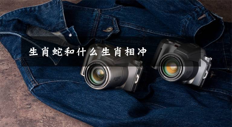 生肖蛇和什么生肖相冲