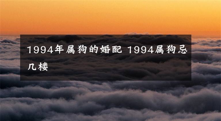 1994年属狗的婚配 1994属狗忌几楼