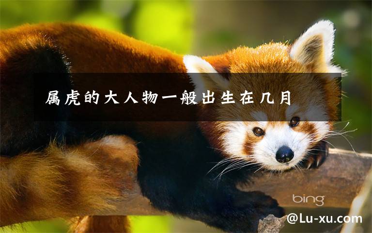 属虎的大人物一般出生在几月