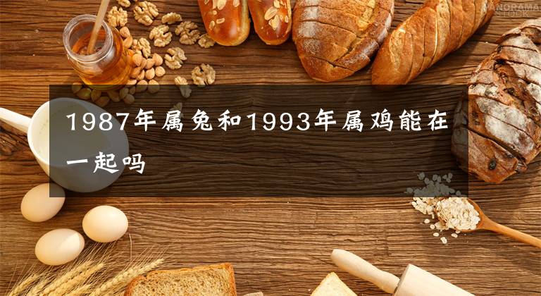 1987年属兔和1993年属鸡能在一起吗
