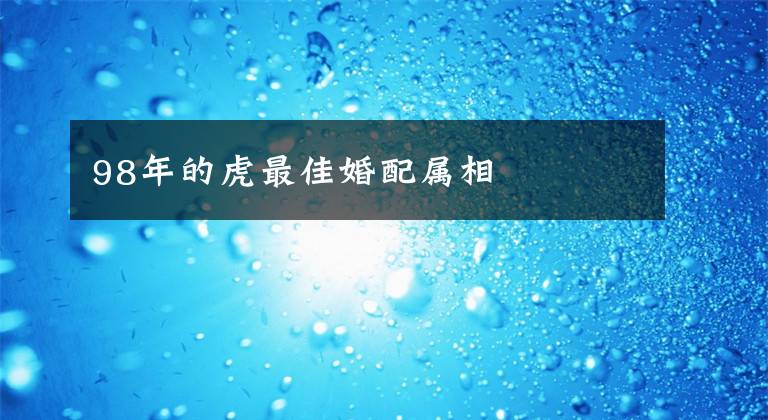 98年的虎最佳婚配属相