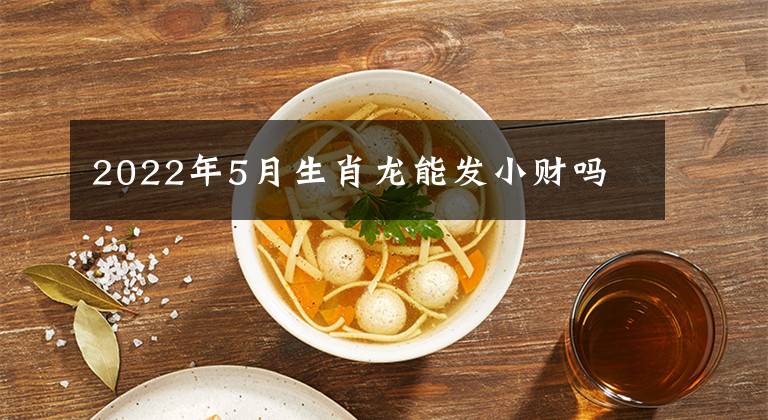 2022年5月生肖龙能发小财吗