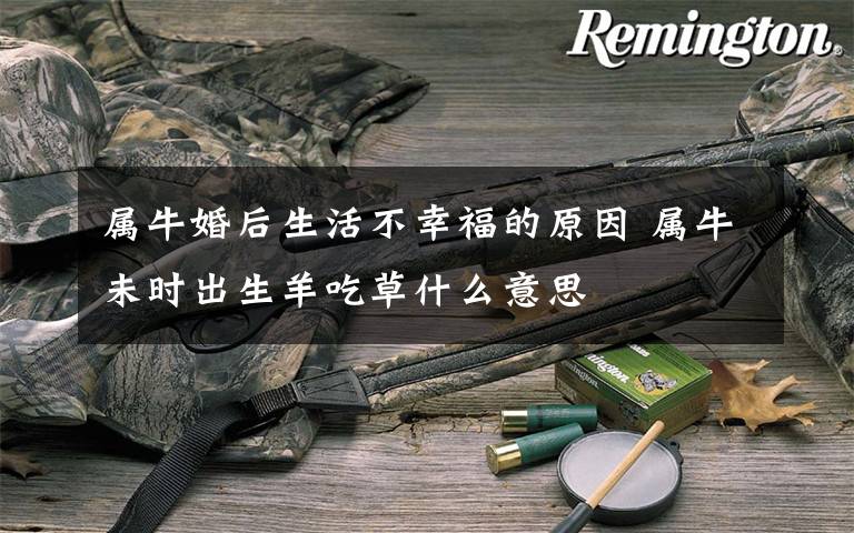 属牛婚后生活不幸福的原因 属牛未时出生羊吃草什么意思