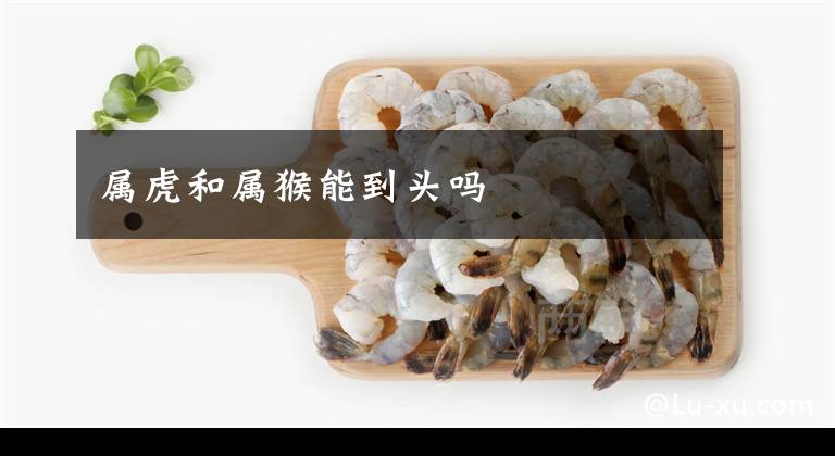 属虎和属猴能到头吗