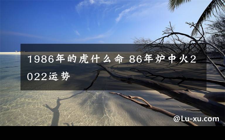 1986年的虎什么命 86年炉中火2022运势