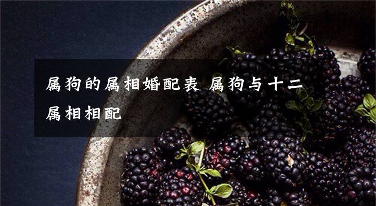 属狗的属相婚配表 属狗与十二属相相配