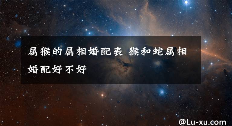 属猴的属相婚配表 猴和蛇属相婚配好不好