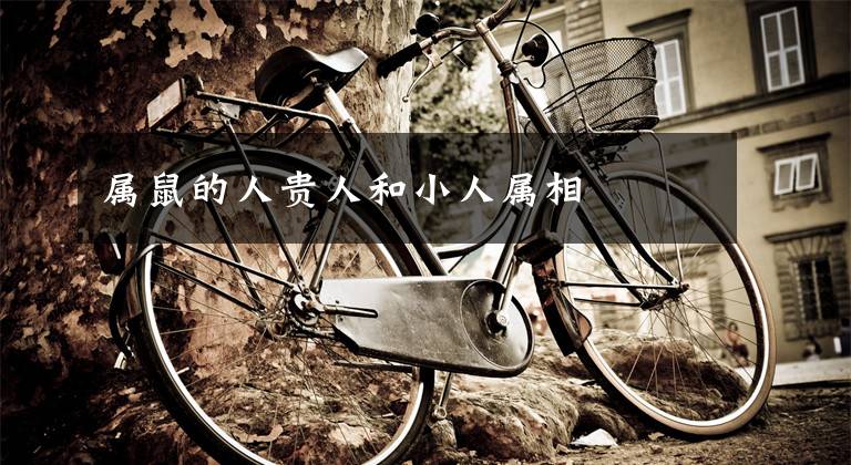 属鼠的人贵人和小人属相