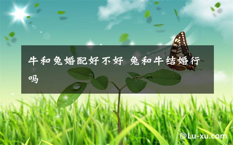 牛和兔婚配好不好 兔和牛结婚行吗